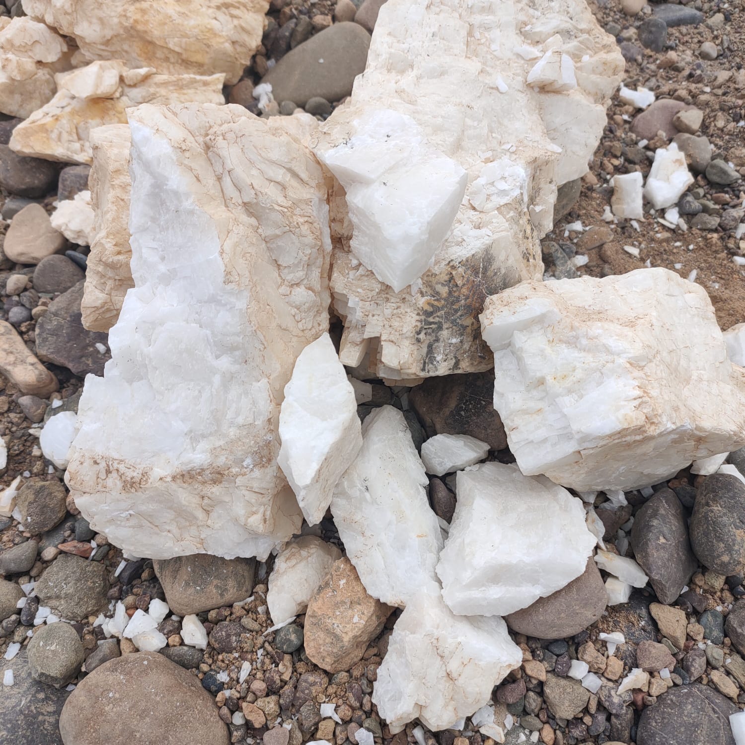 Hytramine mineral samples from Atlas Mountains